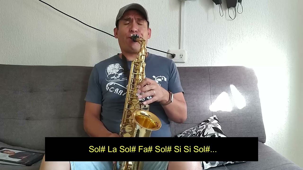 Solo De INSENSIBLE de Juan Gabriel con notas