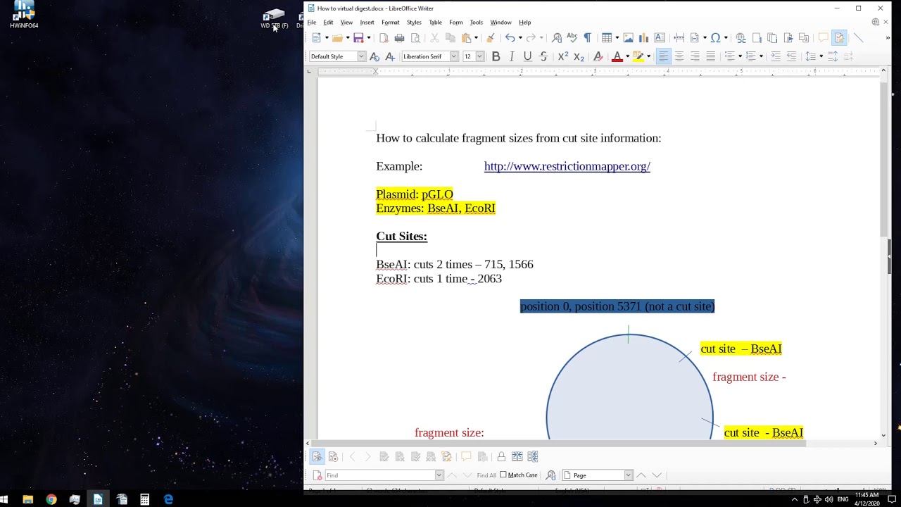How to Use Restriction Mapper - BIO312 Lab