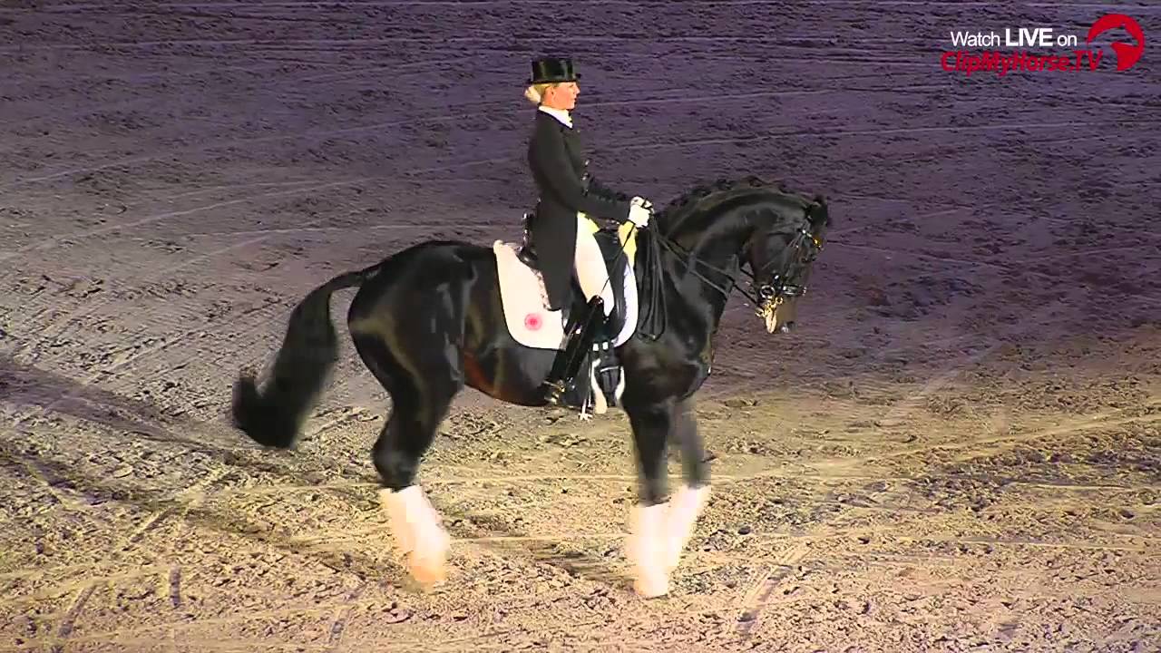 STUTTGART GERMAN MASTERS - Show: Master-Hengstes 2015 Unee BB