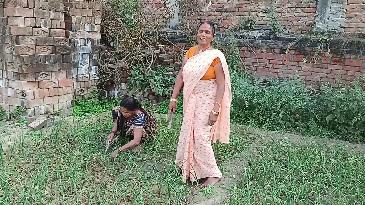 राधे राधे दोस्तों आज मैं खेत में आई हूं प्याज के