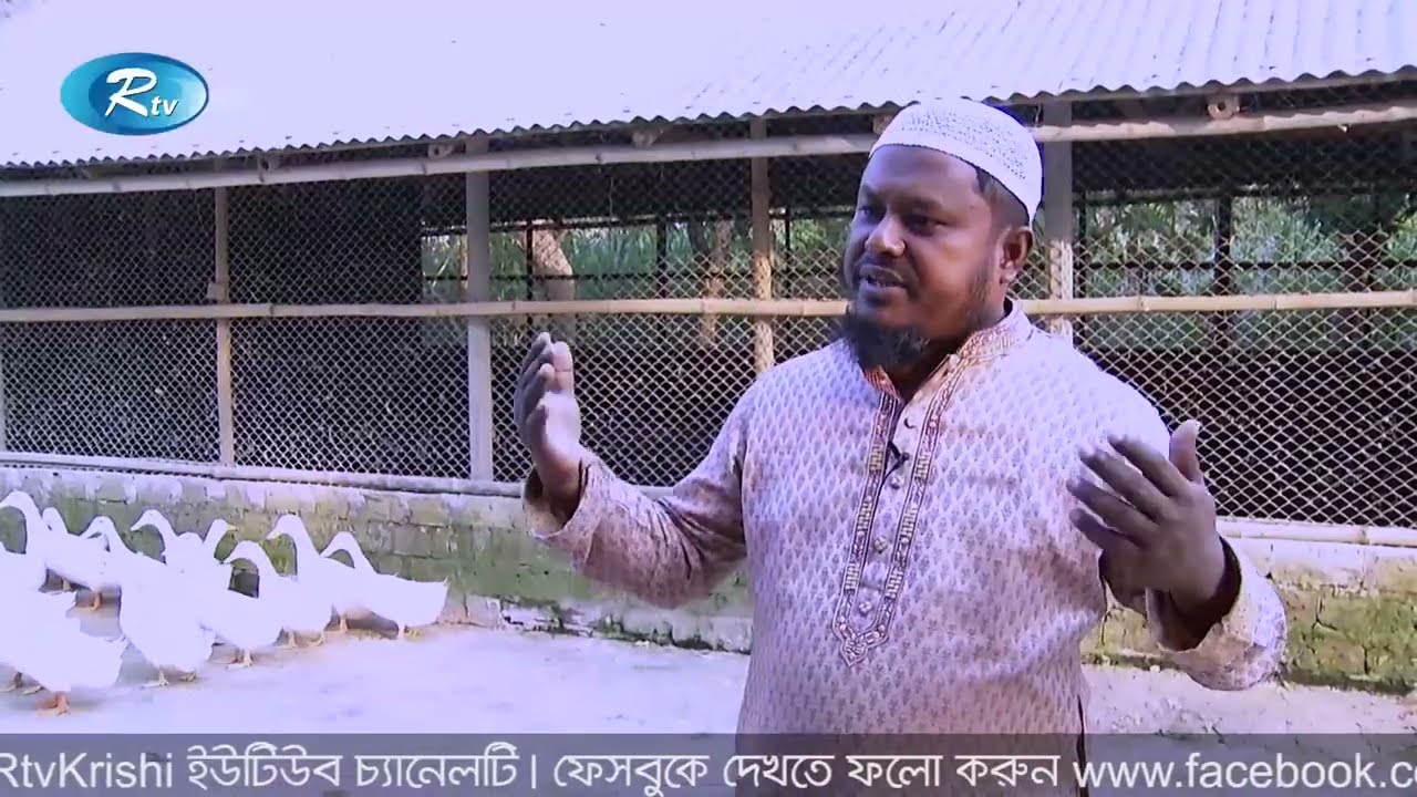 হাঁসের খামার করে স্বাবলম্বী হতে চাইলে যেভাবে শুরু করবেন | Krishi o Krishti | Rtv Krishi