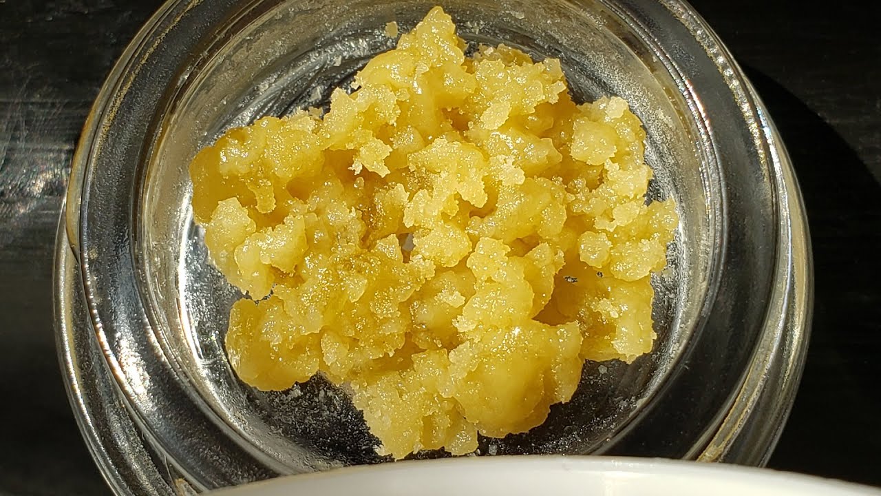 Strain Review - Sundae Driver by Cannarado Genetics