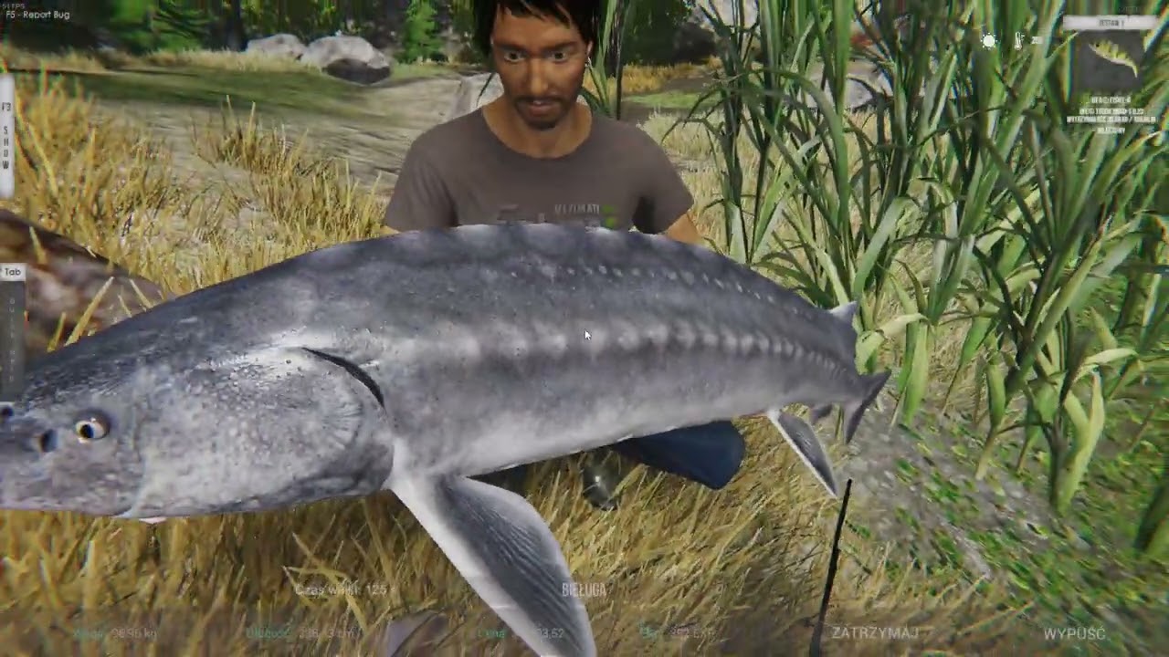 Ultimate Fishing Simulator 2: Bieluga i amury