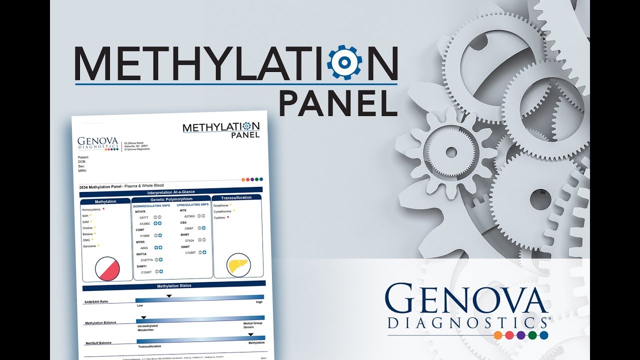 Введение в панель метилирования Genova Diagnostics