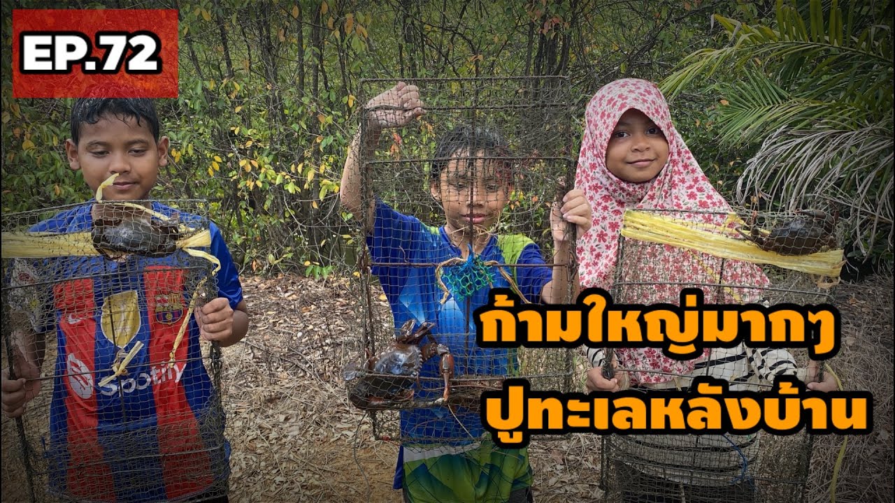EP.72  เหยื่อโครงไก่ ผสม เหยื่อปลา  กินดีจริงๆ ติดเกือบทุกลอบ  โครตเด็ด  มาดูกัน