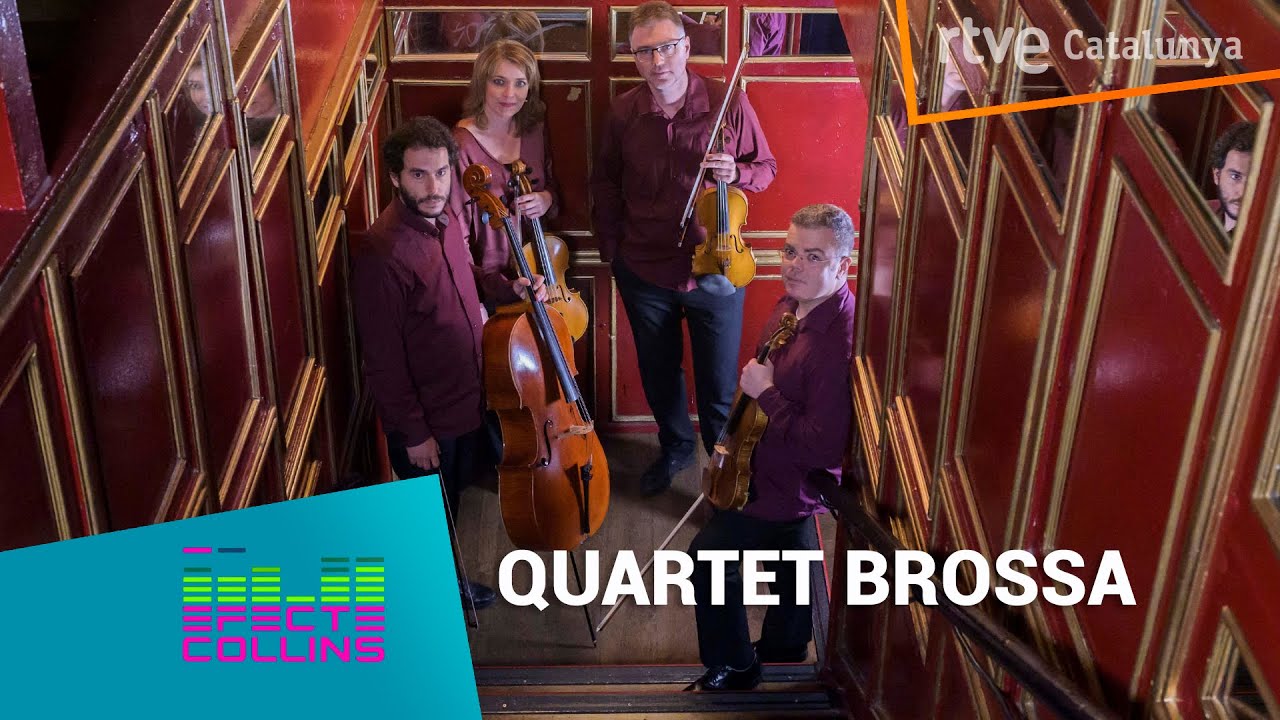 EFECTE COLLINS &ndash; QUARTET BROSSA