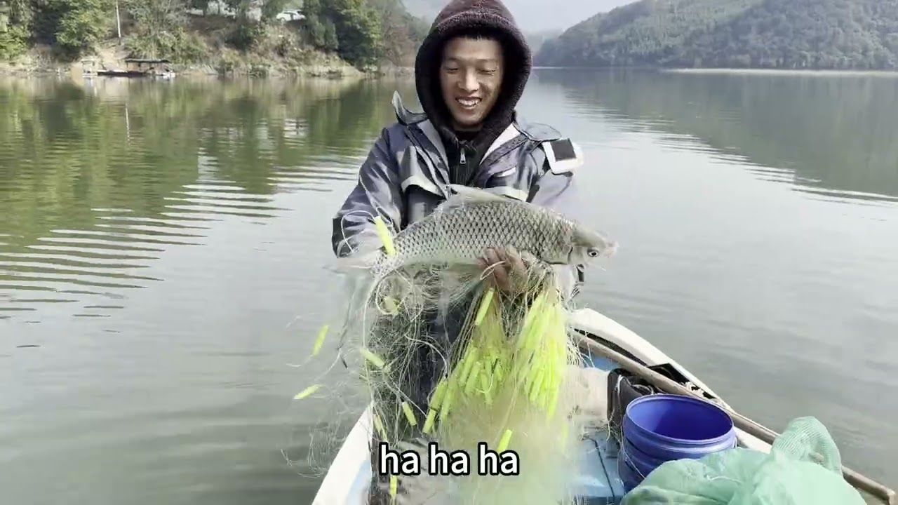 阿欢的鱼网歪打正着撒中鱼群，值钱货直接爆网，鱼获卖了2000多块#鱼获满满 #渔民生活实拍