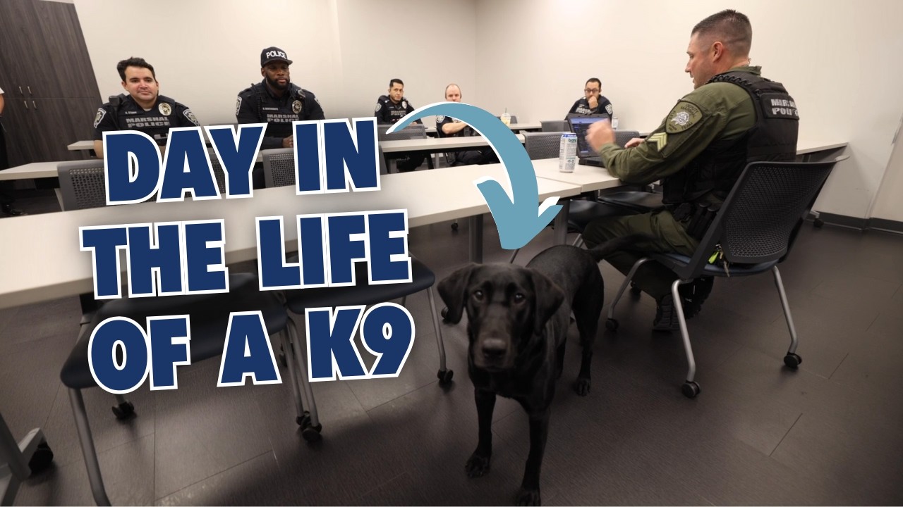 Ride Along with a Police K9 on the Fremont Street Experience