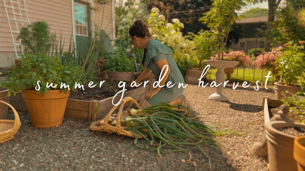 slow morning harvesting onions and flowers (July Garden Harvest) | Slow Gardening