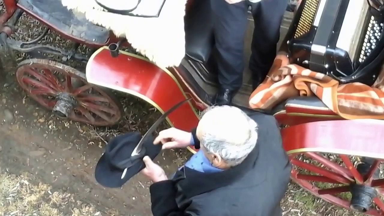 4 februar 2017 Novi  Bečej
