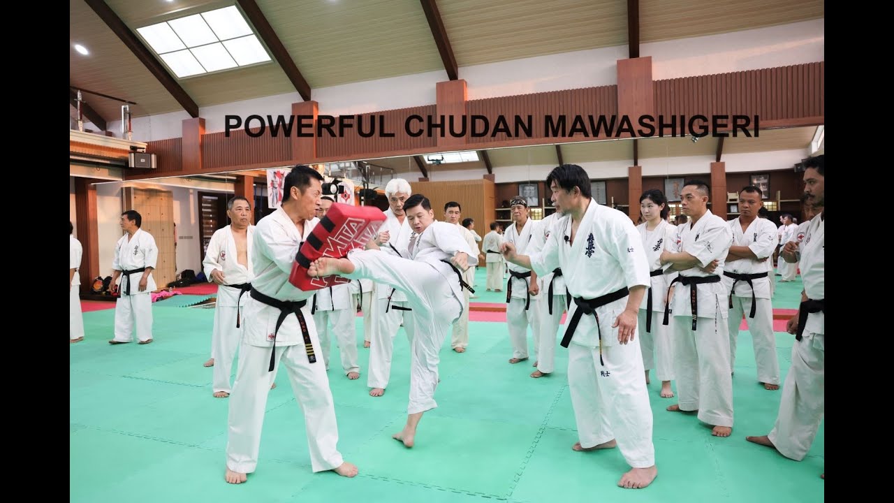 Powerful Chudan Mawashigeri. Shihan Akira Masuda Coaching Clinic #12