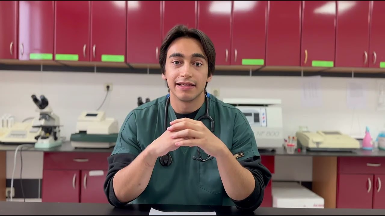 Kedilerde Ağız Kokusu Neden Olur ? Nasıl Giderilir ?