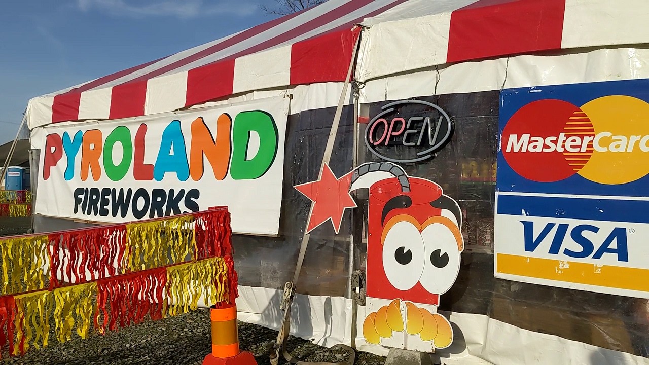 FIREWORKS Shopping for New Years Eve!