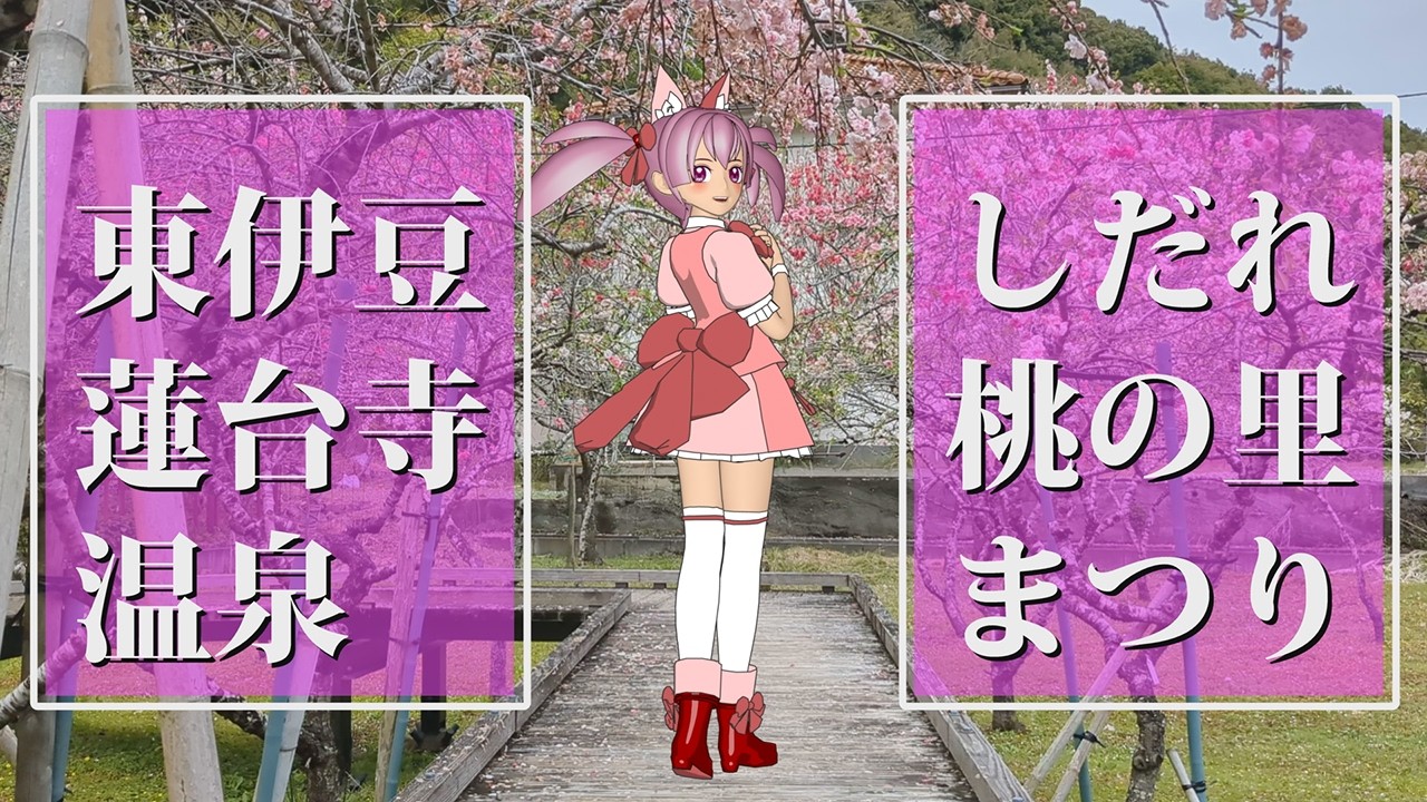 伊豆稲取のリゾマンで暮らす(052)蓮台寺の『しだれ桃の里まつり』を見物してきました