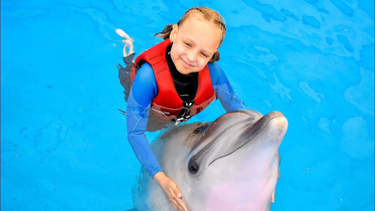 Delfinoterapie 2025
