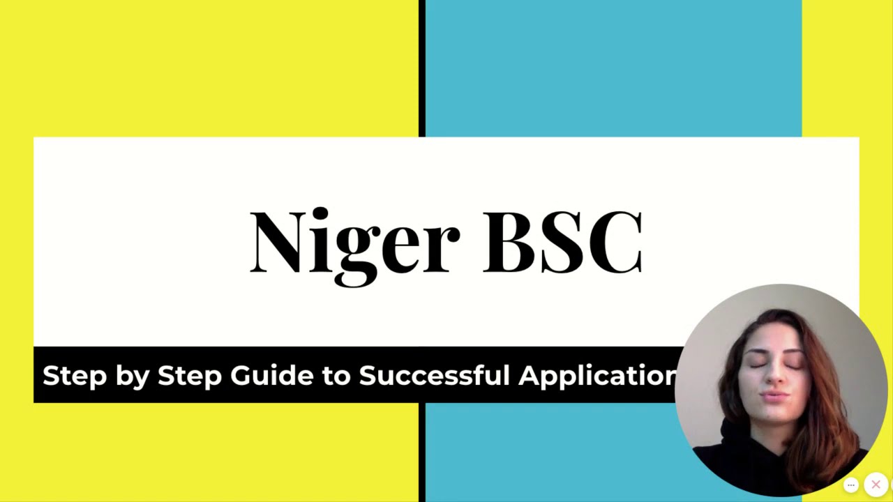 Niger BSC Certificate Detailed Explanation