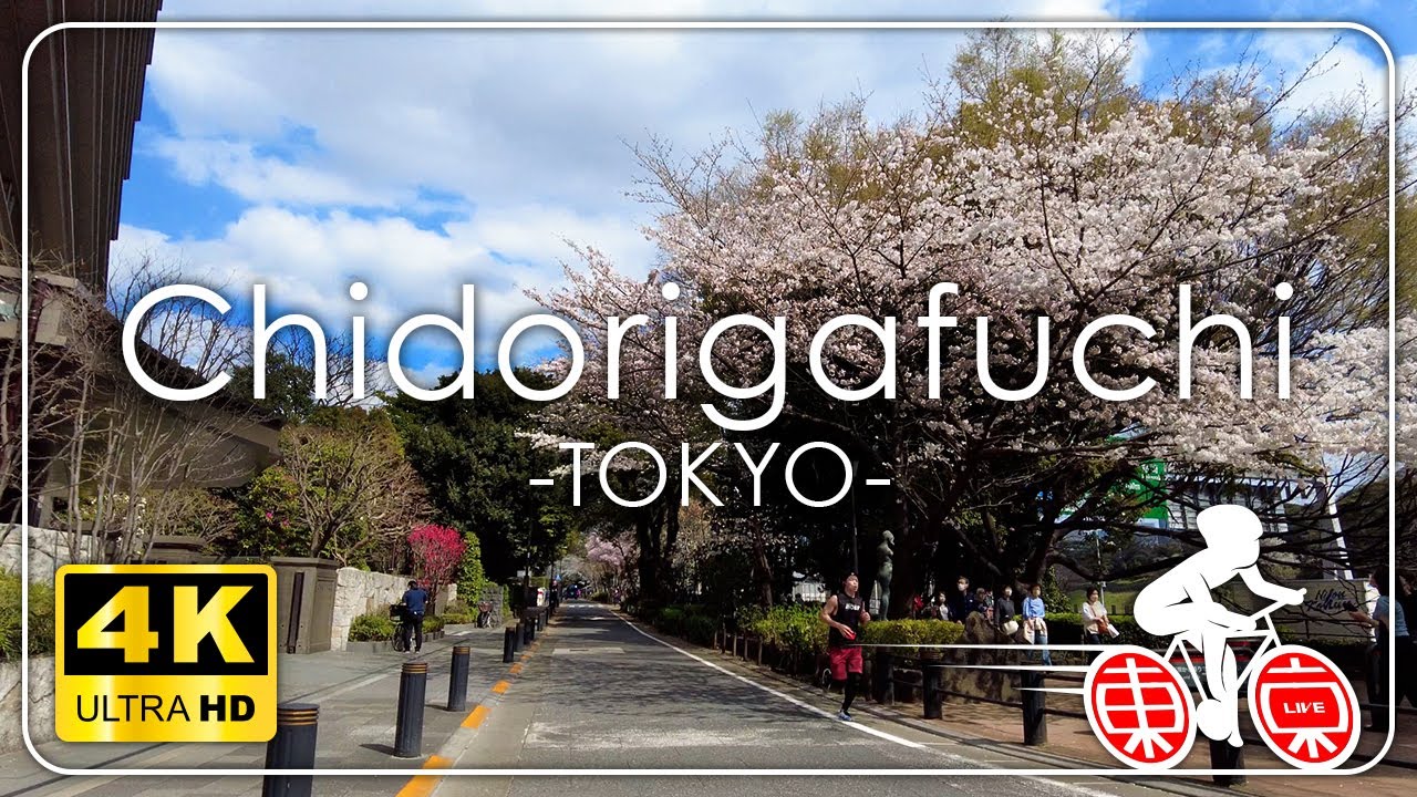 目黒→六本木→千鳥ヶ淵→東京 東京サイクリングカメラ[4K] 2023春 正午
