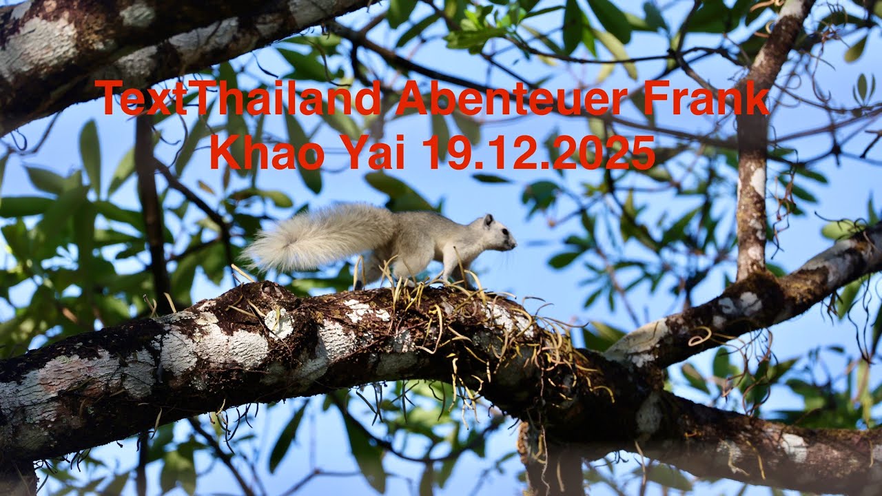 Khao Yai Nationalpark