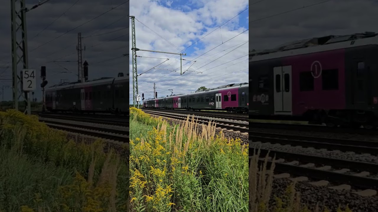 ENNO RE50 nach Hildesheim [GER]