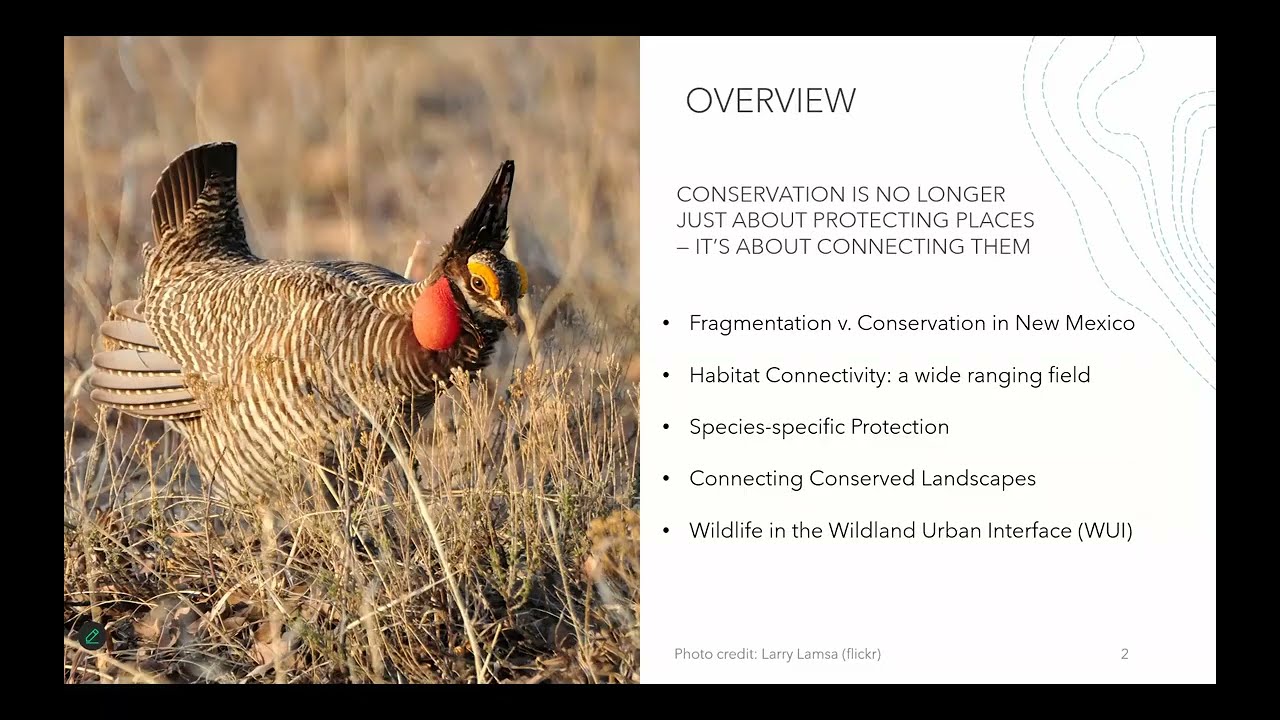Connecting Wildlife Habitat in a Fragmented World