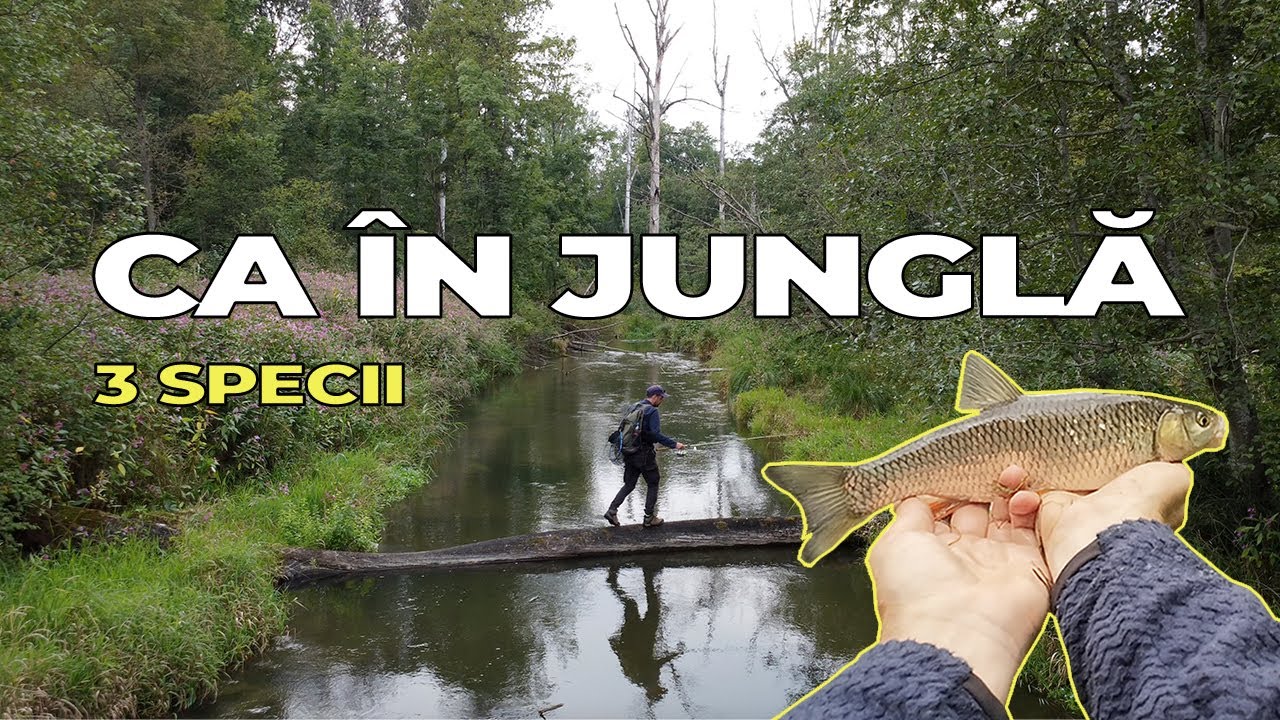 Pescuit la clean în sălbăticie + două specii surpriză!