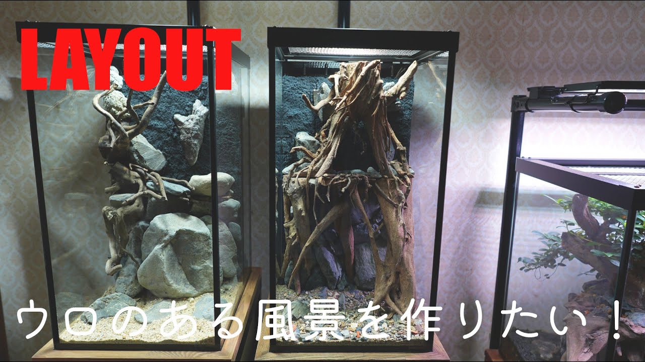 アクアテラ製作pt２：背面ろ過水槽レイアウト