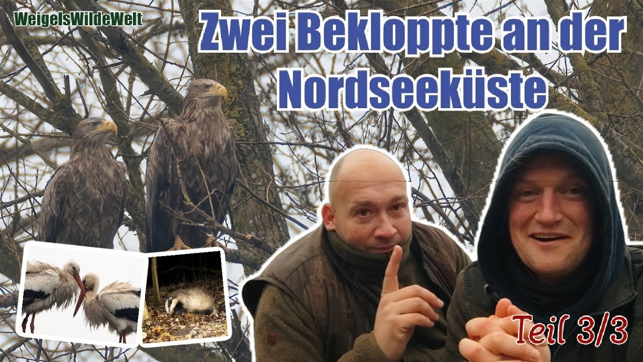 Zwei Bekloppte an der Nordseeküste - TEIL 3/3 - Die GROẞARTIGE Abreise #natur #fotografie #spaß