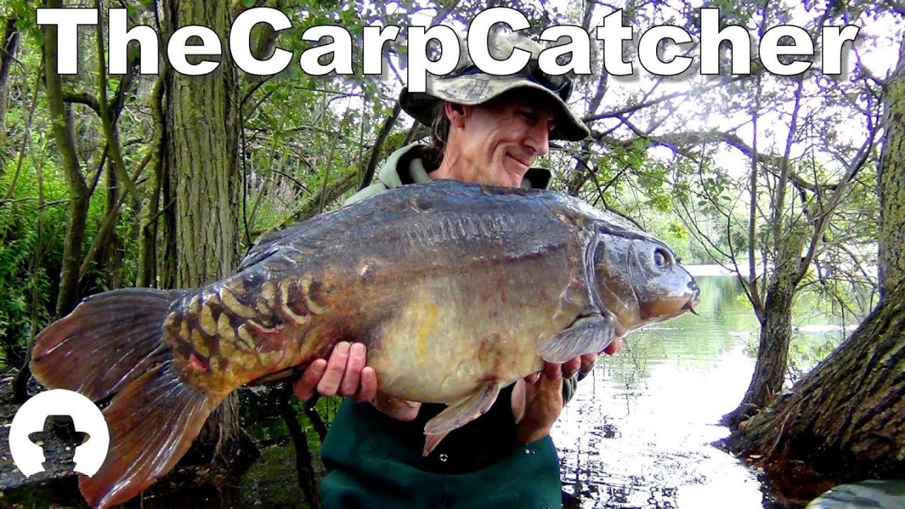 True Carping - Part eighteen - St Ives Lakes ~ Shallow lake