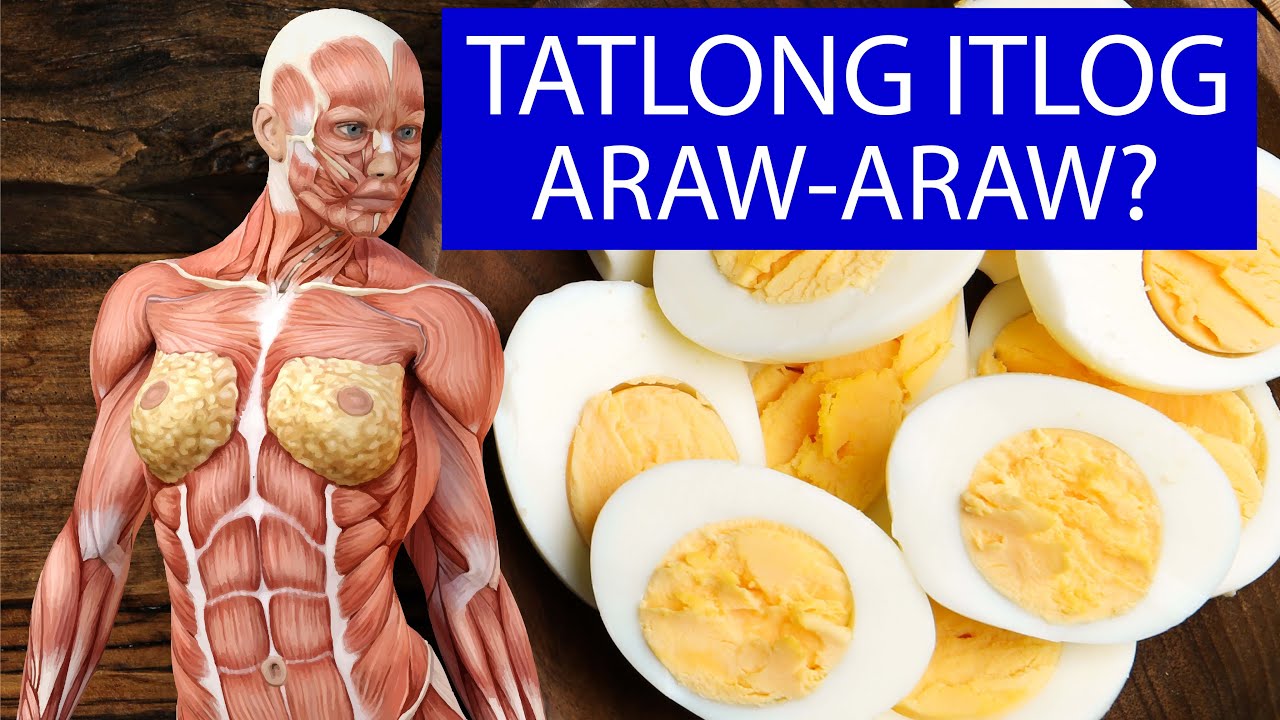 ITLOG: Ano Ang Totoong Epekto ng 3 Itlog Araw-Araw