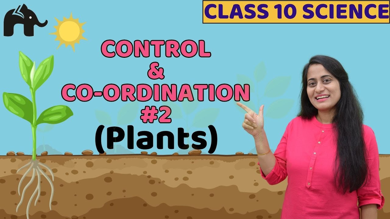 Control and Coordination Class 10 Science | in plants | NCERT Chapter 7 One Shot #2
