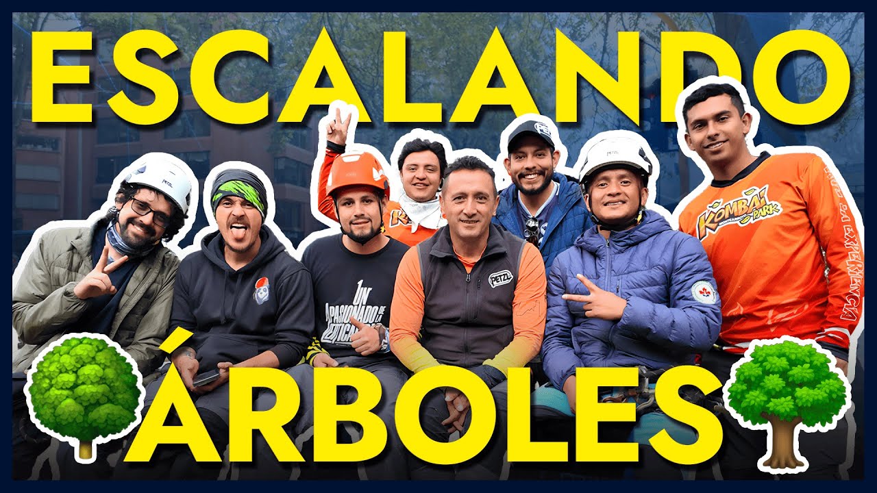 CamiloPViajes | ESCALANDO ÁRBOLES en KOMBAI PARK 🧗🌳
