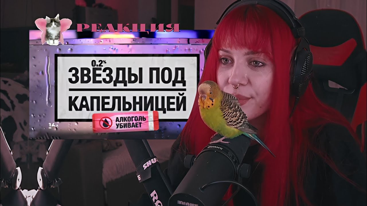 Лера Мидлер смотрит: ЗВЁЗДЫ ПОД КАПЕЛЬНИЦЕЙ ||  Сезон 1 Серия 1|| Перезаливы Леры Мидлер
