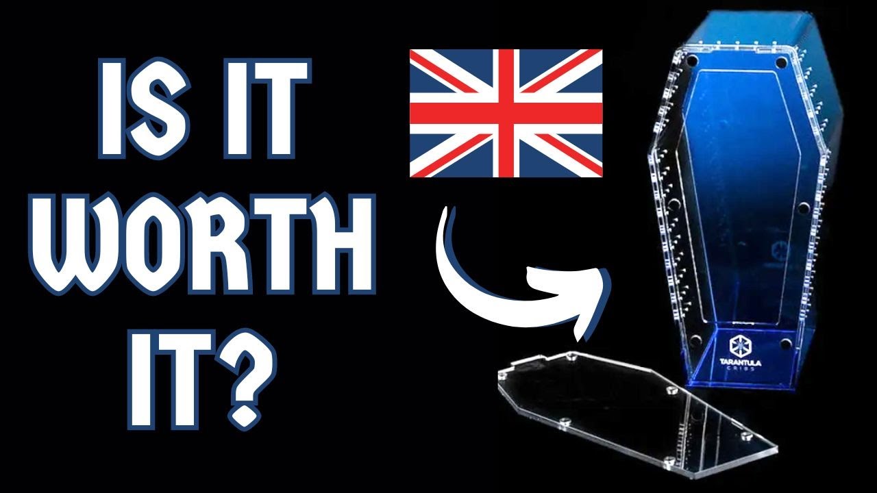 Tarantula Cribs In The UK | Arachonospace unboxing and review | Spooderpods