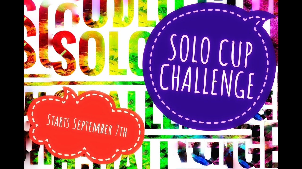 SOLO Cup Challenge Cannabis Growing Contest Open to Everyone LED Grow Lights