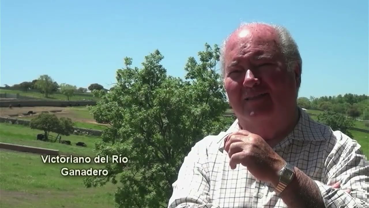 TENDIDO DE LOS SASTRES VICTORIANO DEL RÍO
