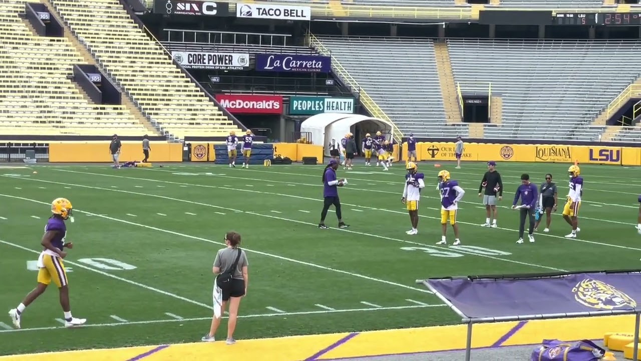 LSU DBs working with Robert Steeples