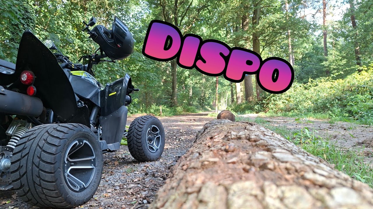 Arbeit Dispo