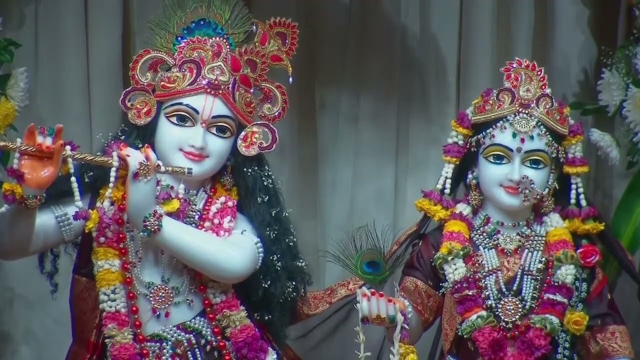 Radha rani or kirshna darshan kijiye 🙌👀Bahut hi sundar darshan 💕🦚