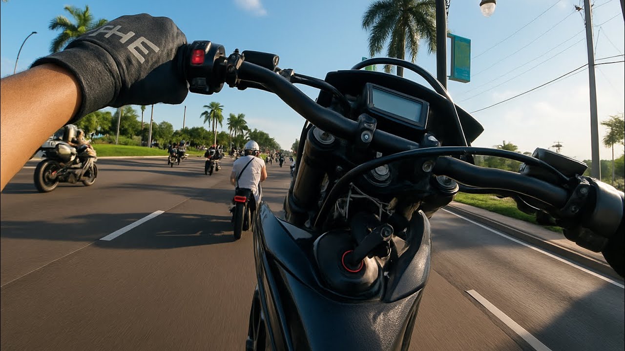 WHEELIES en MIAMI | BOT 2025 