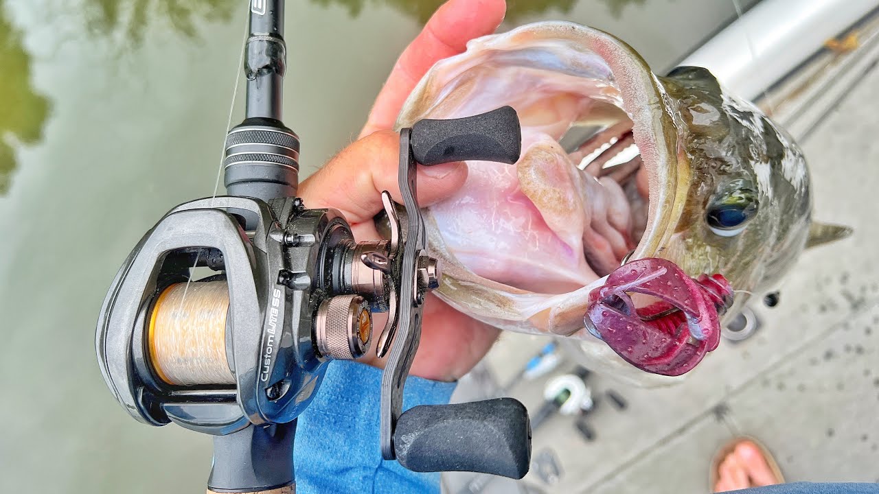 3 Month Review: Lew's Custom Lite SS Baitcaster Review
