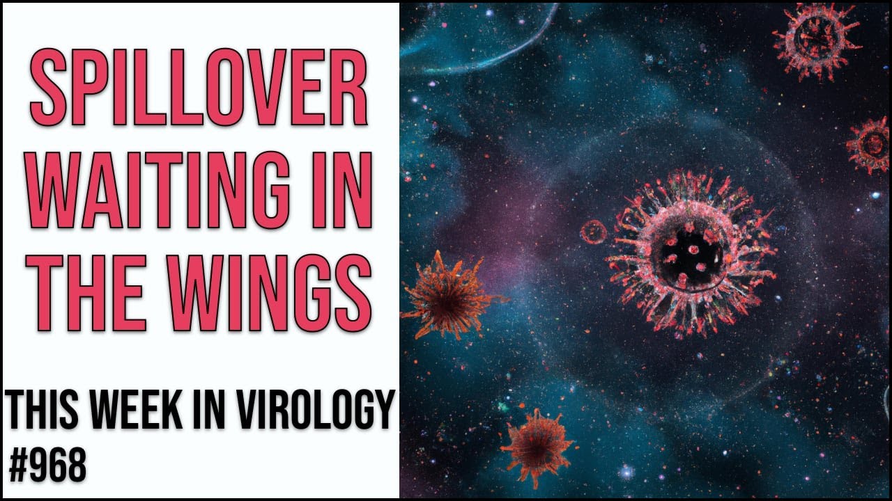 TWiV 968: A spillover waiting in the wings