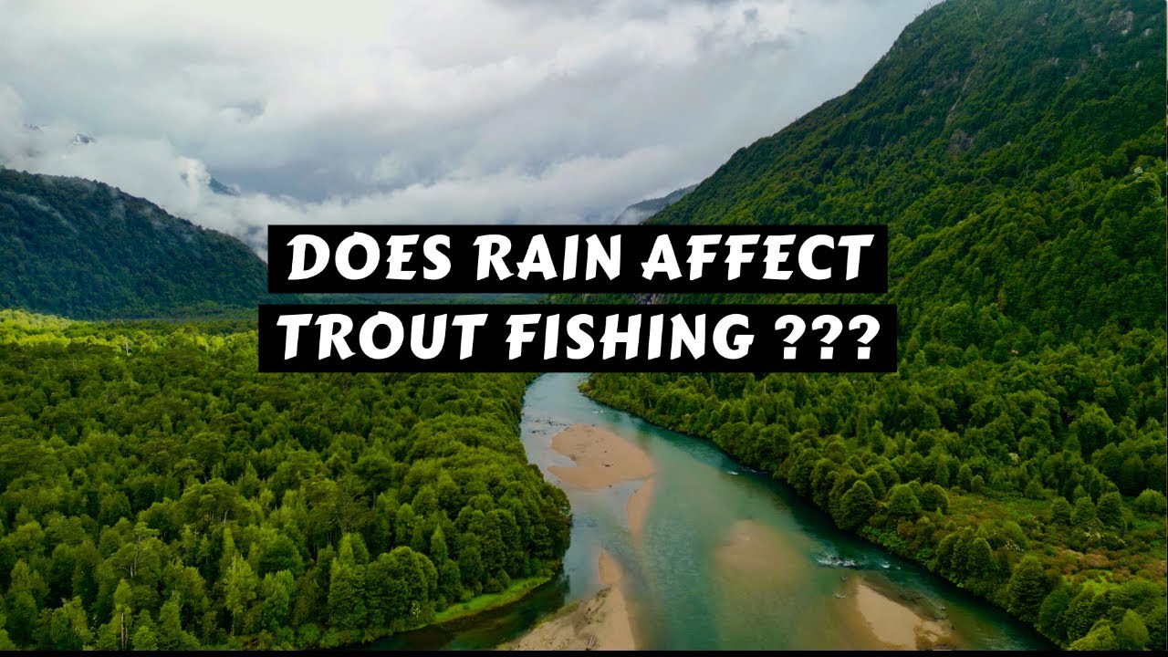 Does Rain Affect Trout Fishing ???