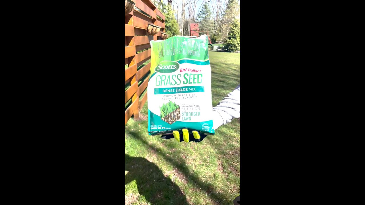 Your Dream Lawn - Scotts Turf Builder