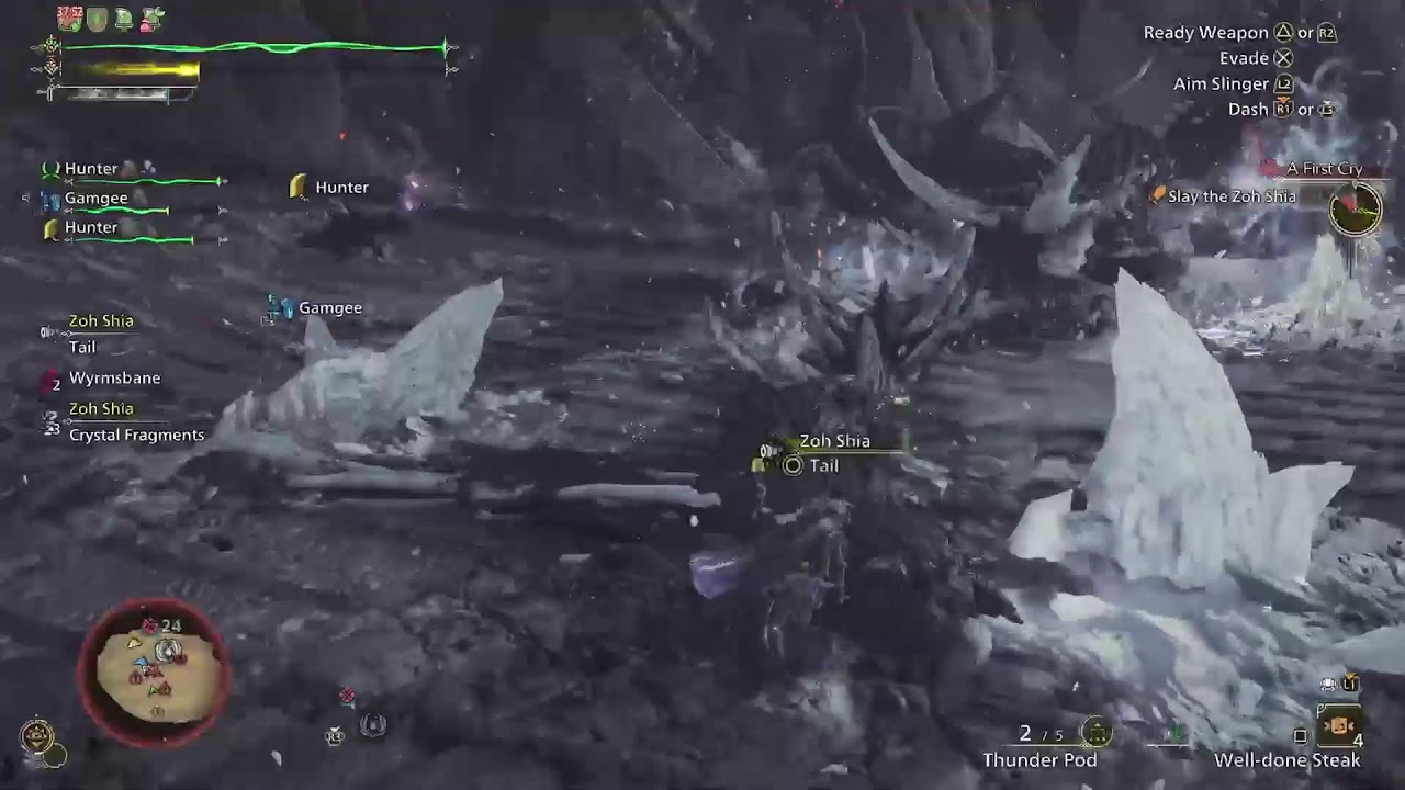 Monster Hunter Wilds - Siding My Time