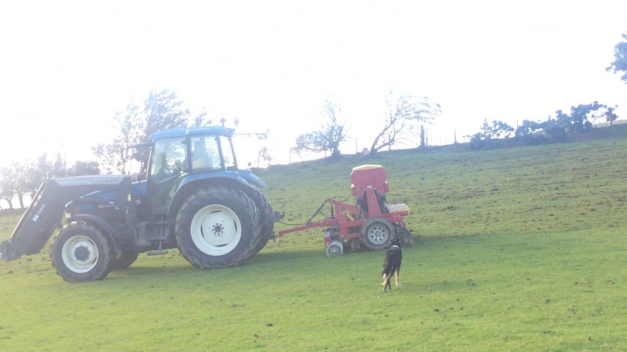 New Holland TM125 and Duncan Eco Seeder to Direct Drill Rye Grass White Clover and Forage Rape