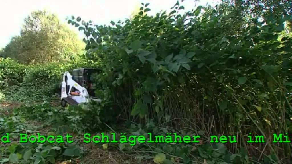 Müller Maschinen/Bobcat Hildesheim auf der Forstlive.mpg