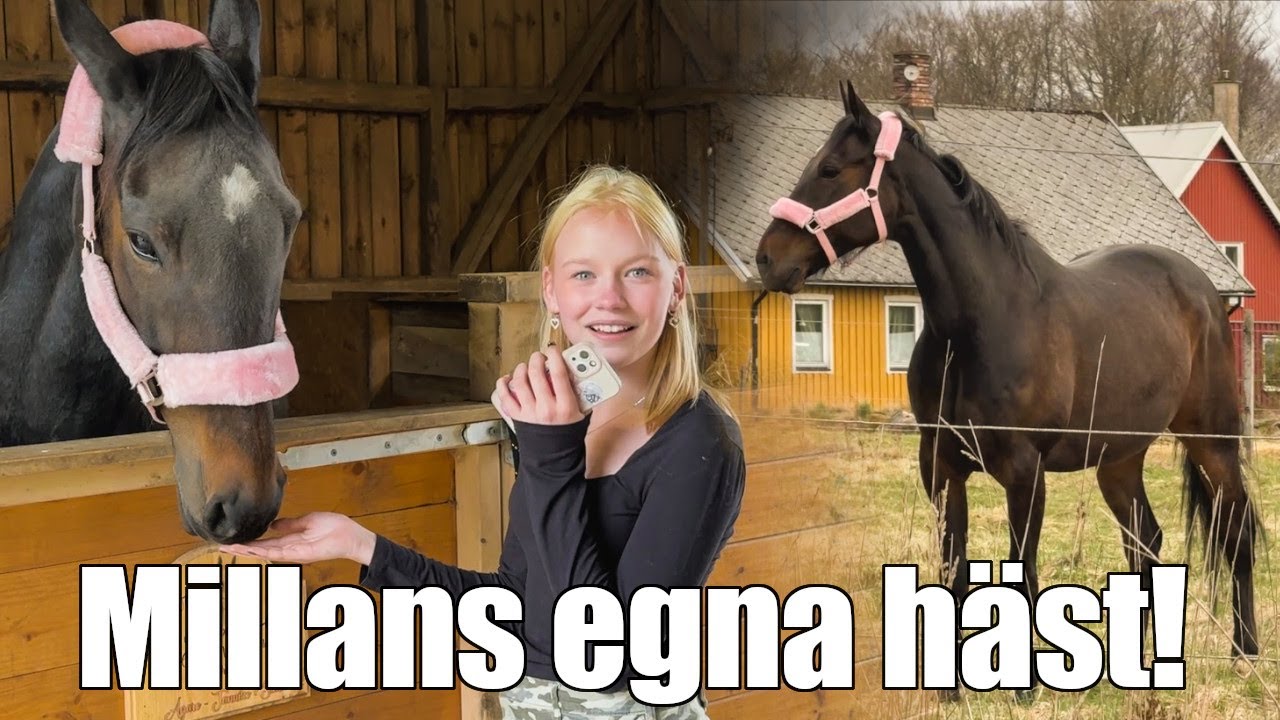 Överraskar Millan med en häst!! || Vlogg