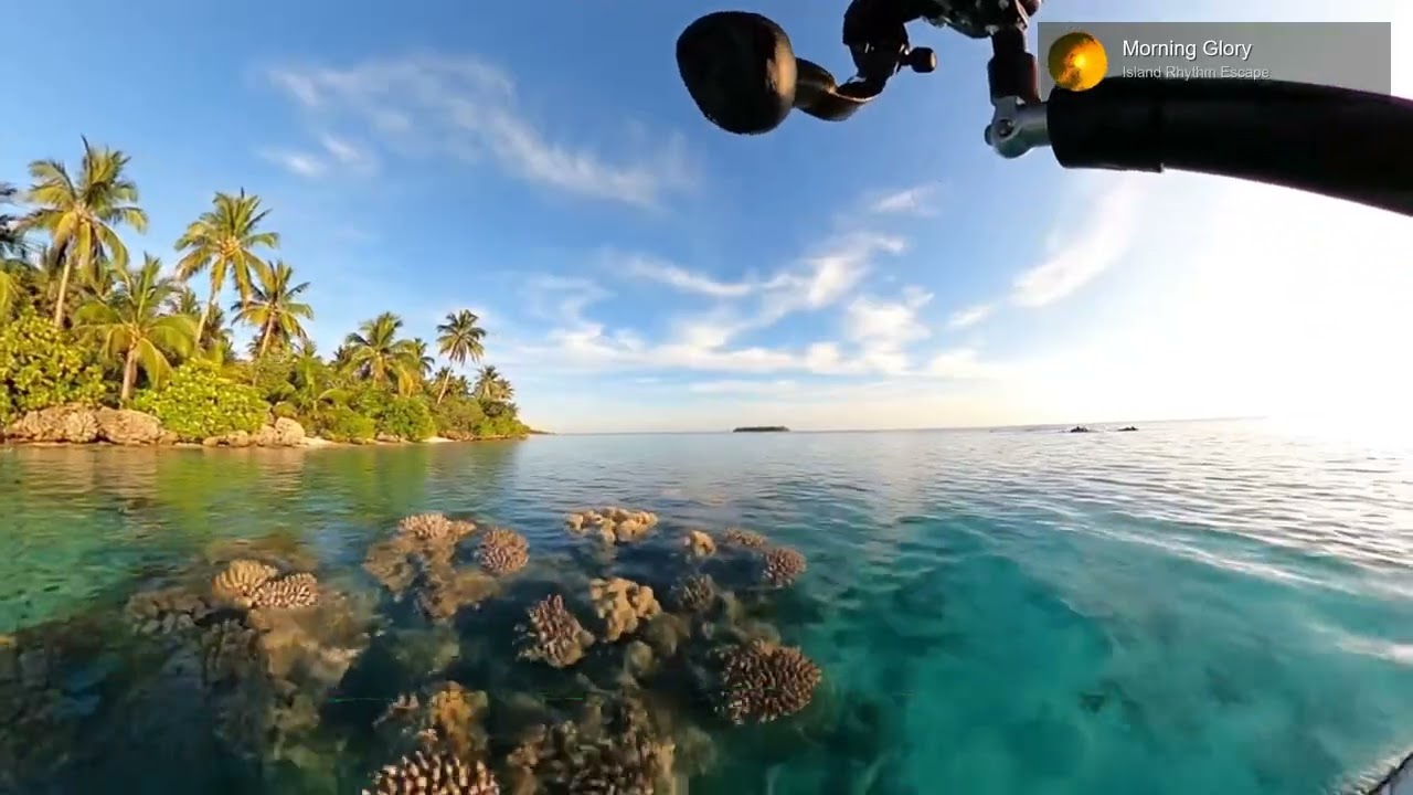 🌊 Ocean Breeze Reggae – Relaxing Island Music for Stress Relief