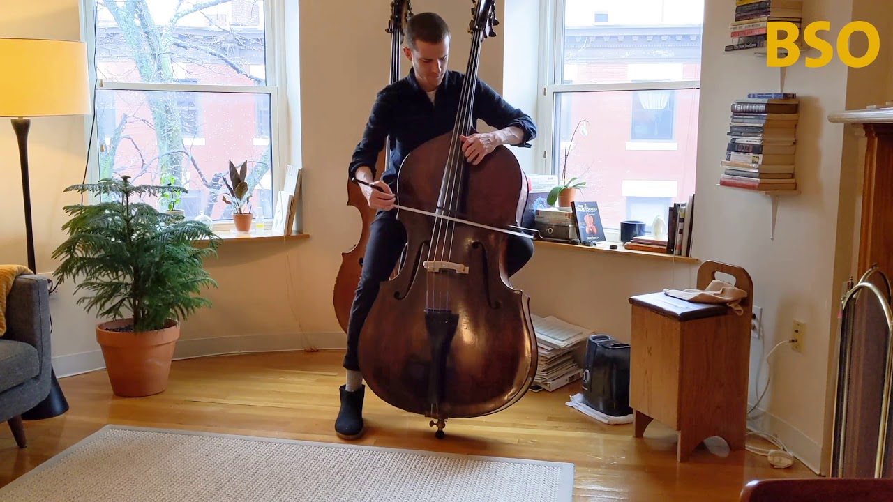 BSO at Home: Notes of Appreciation | Carl Anderson