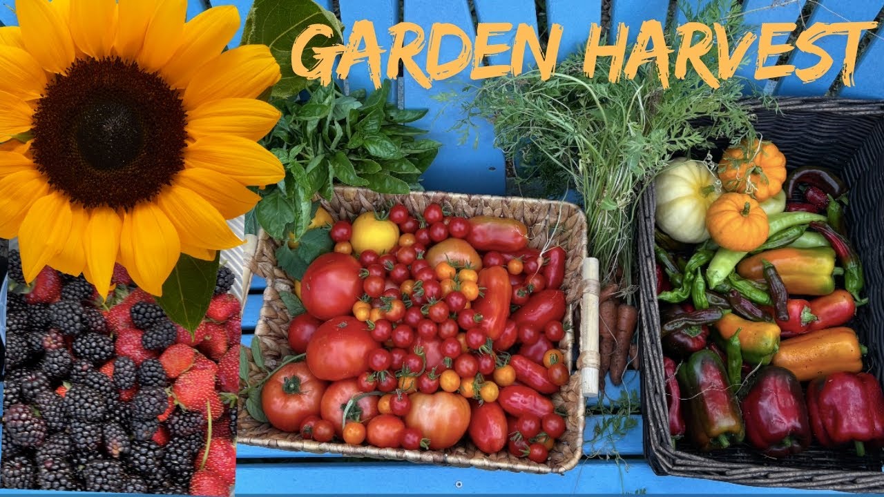 Peaceful Garden Harvest